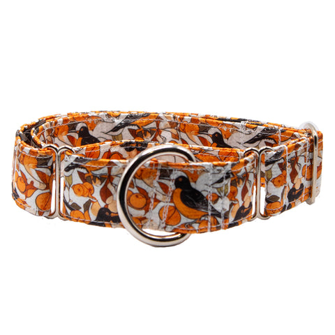 Baltimore Oriole Satin Martingale Collar