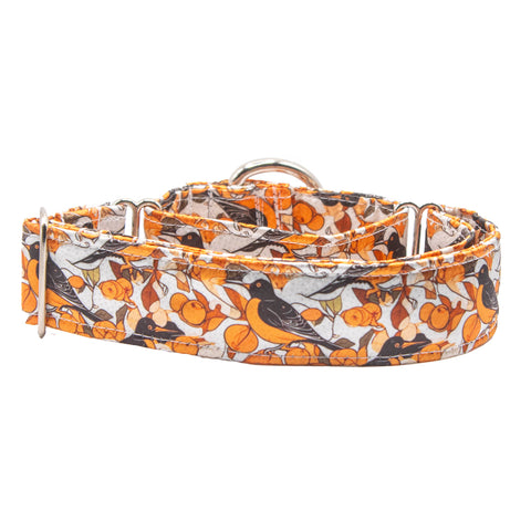 Baltimore Oriole Satin Martingale Collar