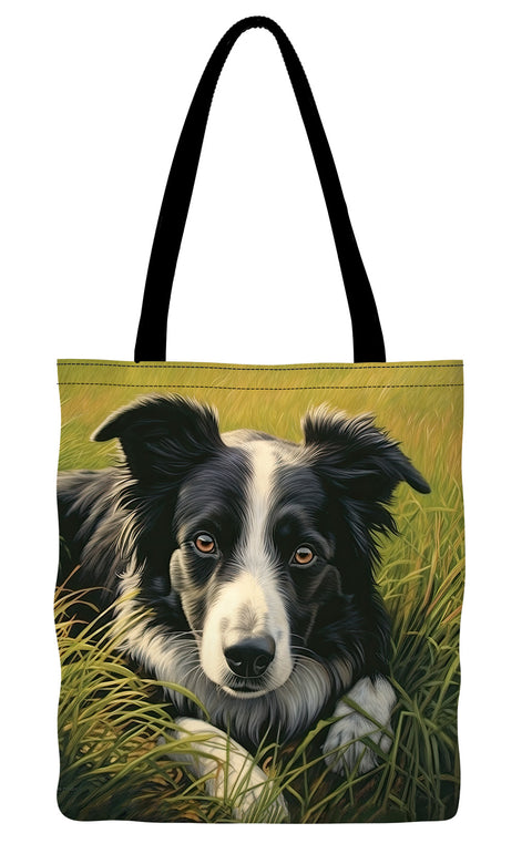 Border Collie Lying in Grass