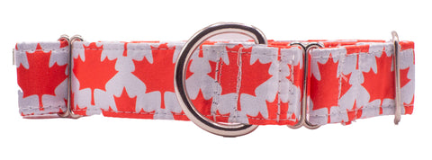 Canada Day Maple Leaf Satin Martingale Collar