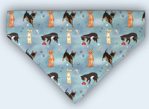 Chihuahuas Over The Collar Bandana 5 Sizes