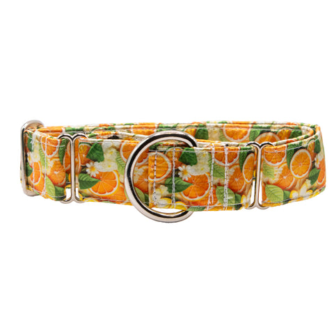 Oranges Satin Martingale Collar