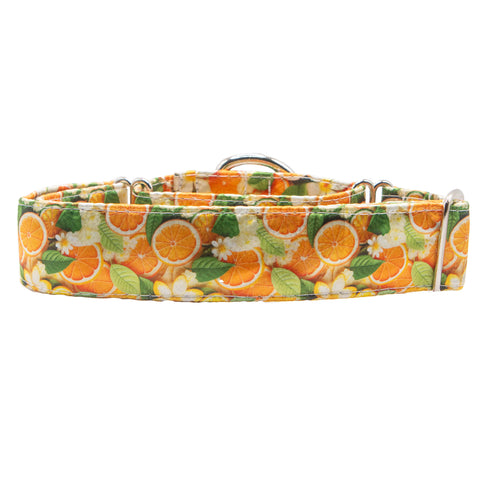 Oranges Satin Martingale Collar