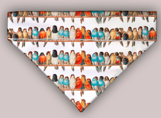 Beautiful Birds On A Branch  Over The Collar Bandana 5 Sizes