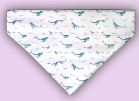 Whales Over The Collar Bandana Can Be Personalized