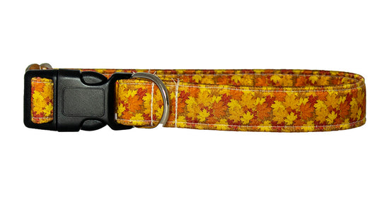 Autumn Leaves Satin Buckle Collar