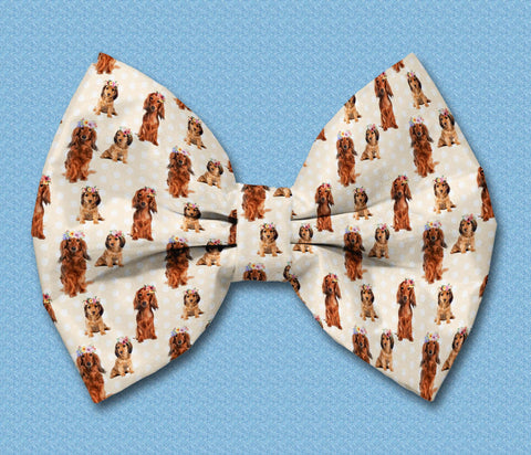 Long Haired Dachshund Satin Dog Bowtie Attaches with Hook and Loop